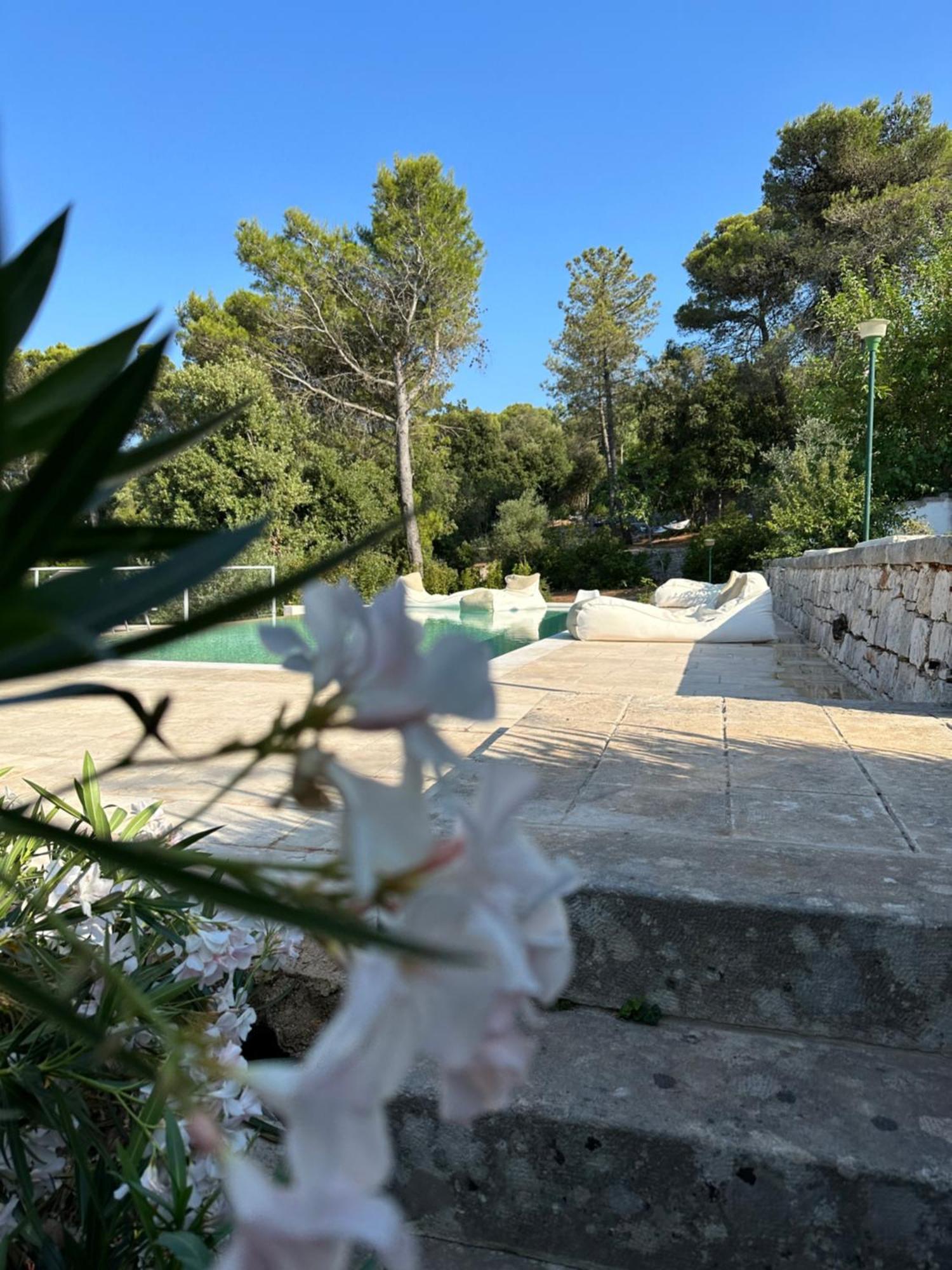 Il Trullo Di Simona Bed & Breakfast Locorotondo Ngoại thất bức ảnh